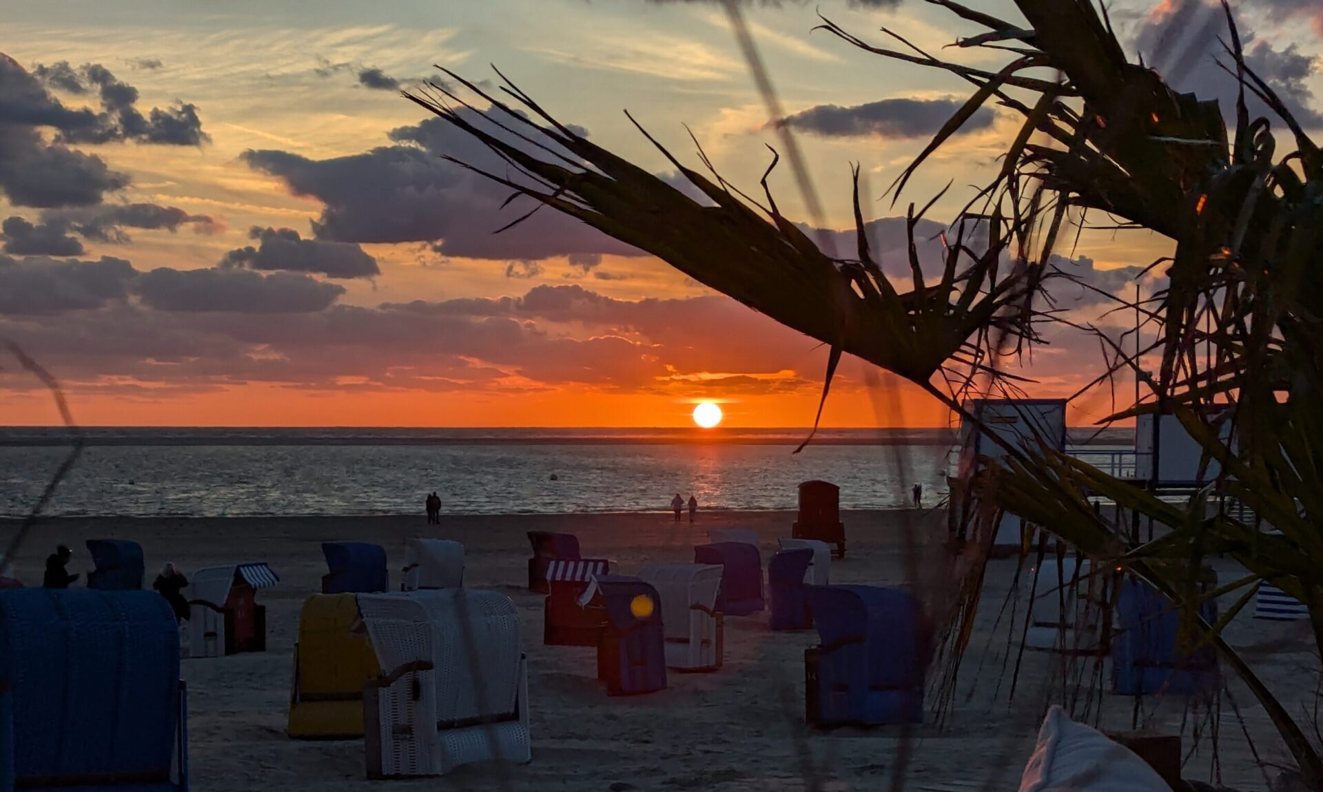 Oliver Nitsche - Funk, IT und Datenschutz